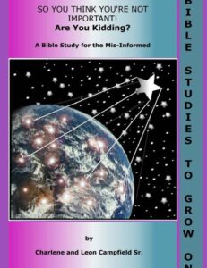 9780981702599_So You Think You're Not Important! Bible Study